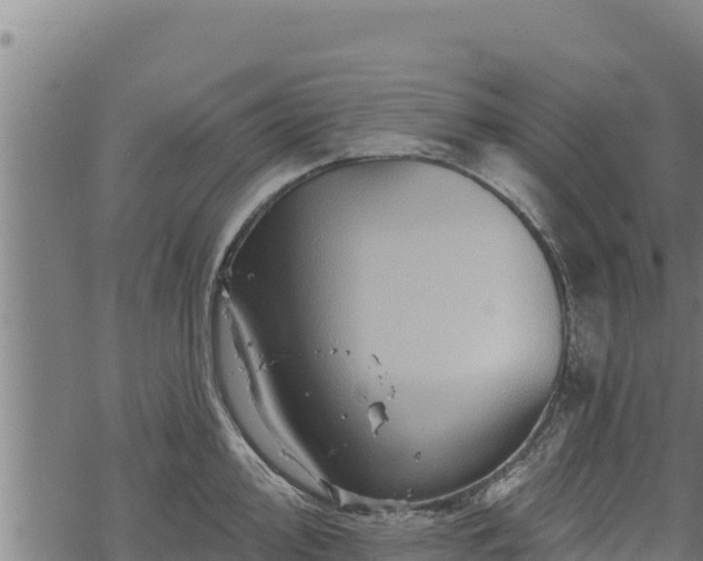 X0000068821000200605121311