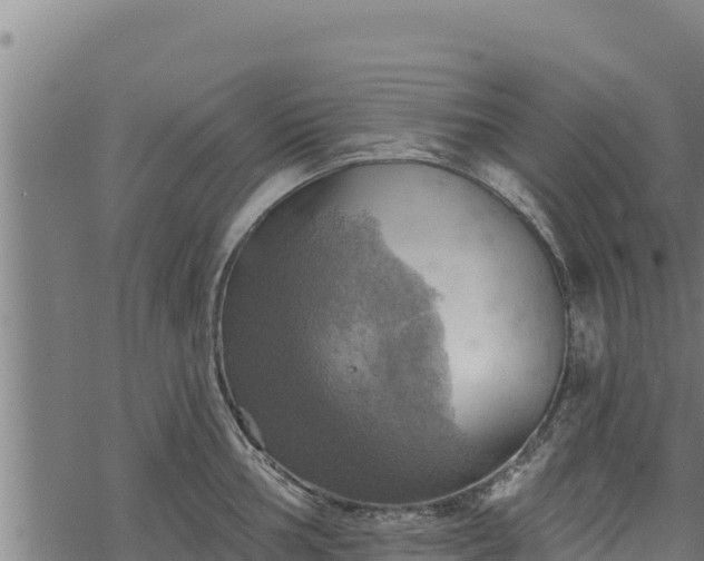 X0000068821002200605121311