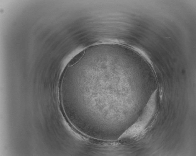 X0000068821003200605121311