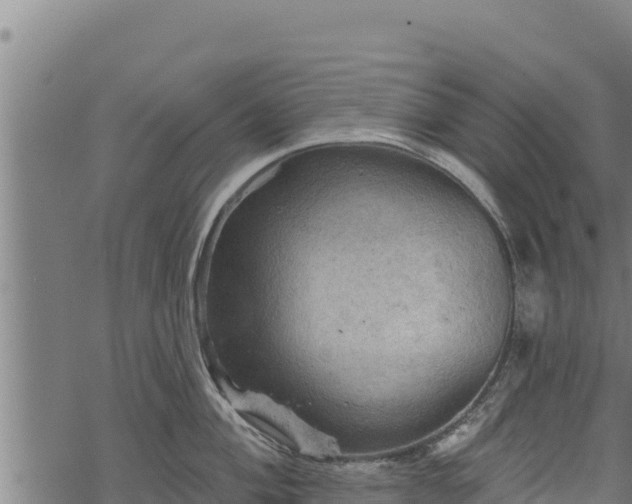 X0000068821004200605121311