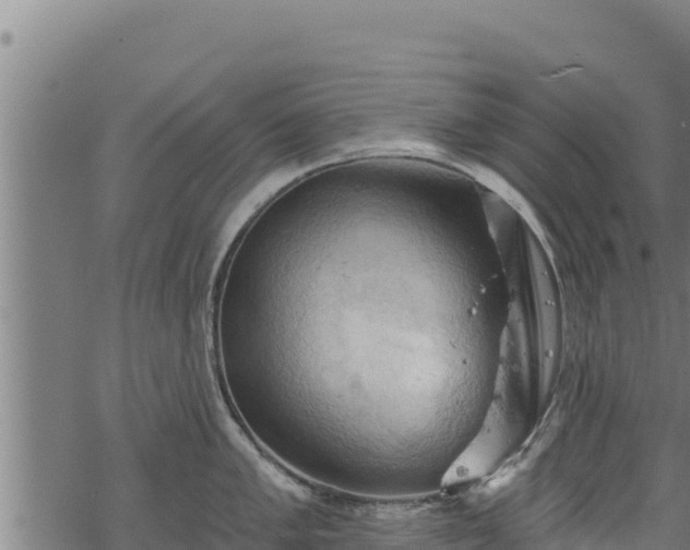 X0000068821005200605121311