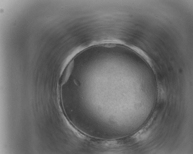 X0000068821006200605121311