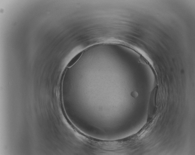 X0000068821007200605121311