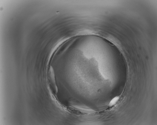 X0000068821008200605121311