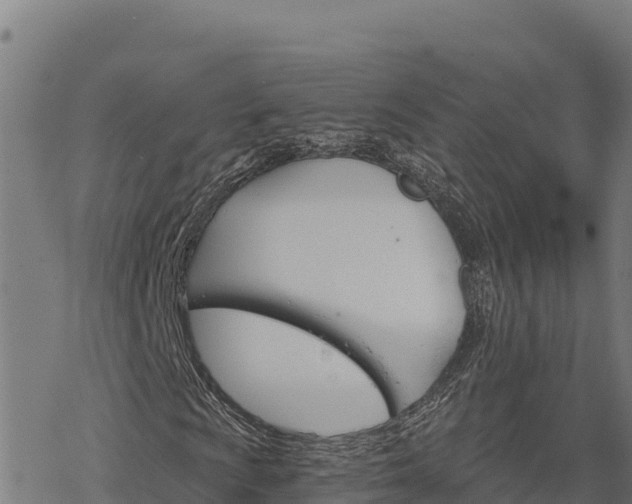 X0000068821009200605121310