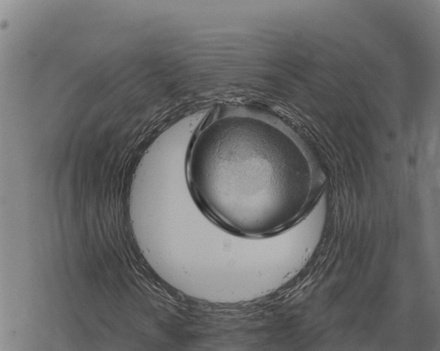 X0000068821010200605121310