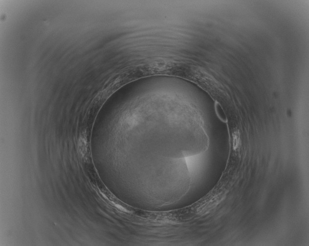 X0000068821011200605121310