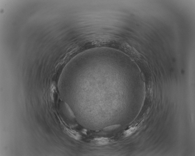 X0000068821012200605121310