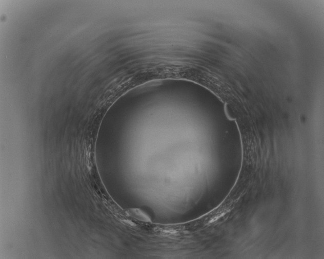 X0000068821013200605121310