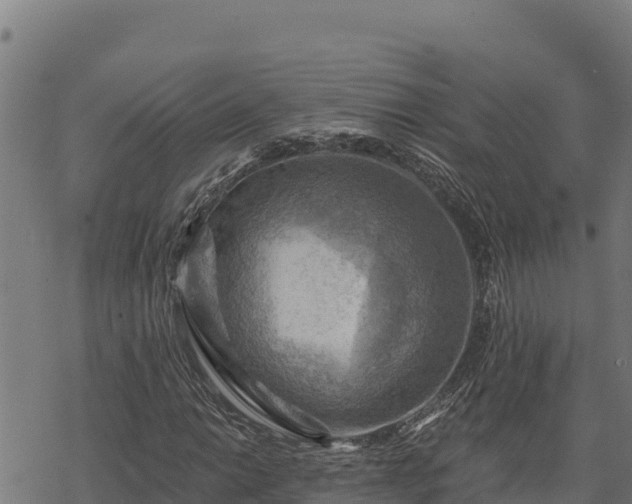 X0000068821014200605121310