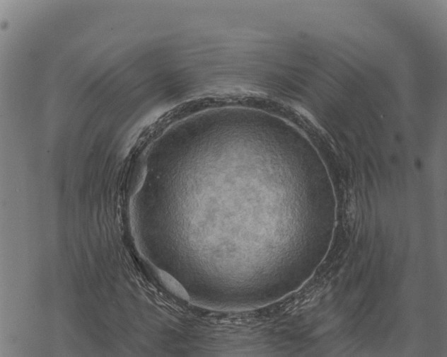 X0000068821016200605121310