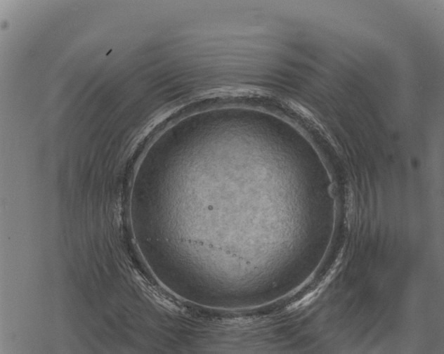 X0000068821017200605121310