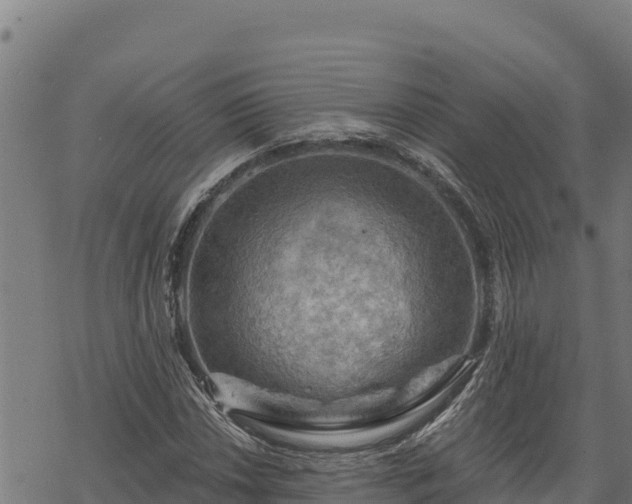 X0000068821018200605121310