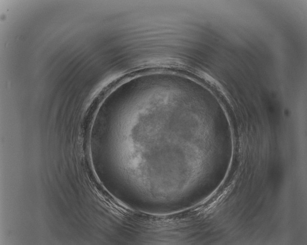 X0000068821019200605121310