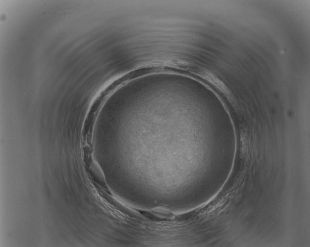 X0000068821020200605121310