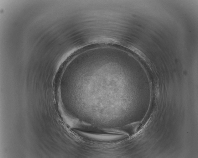 X0000068821022200605121310