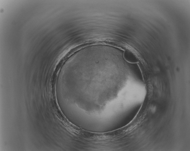 X0000068821023200605121310