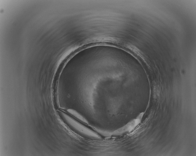 X0000068821024200605121310