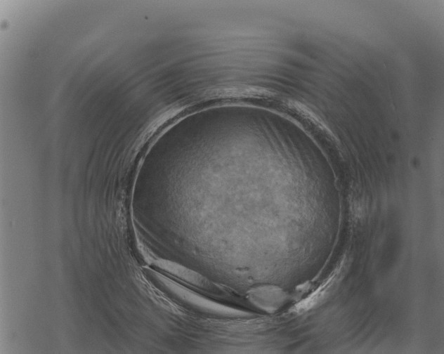 X0000068821025200605121310