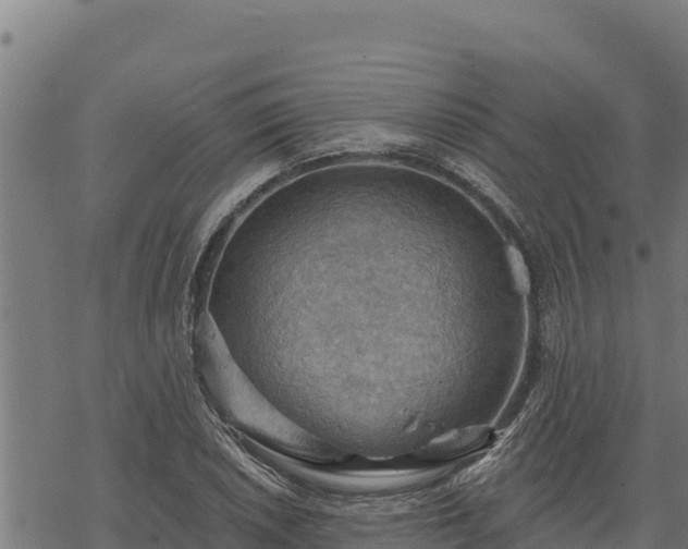 X0000068821026200605121310