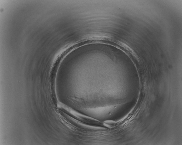 X0000068821027200605121310