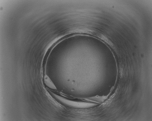 X0000068821028200605121310