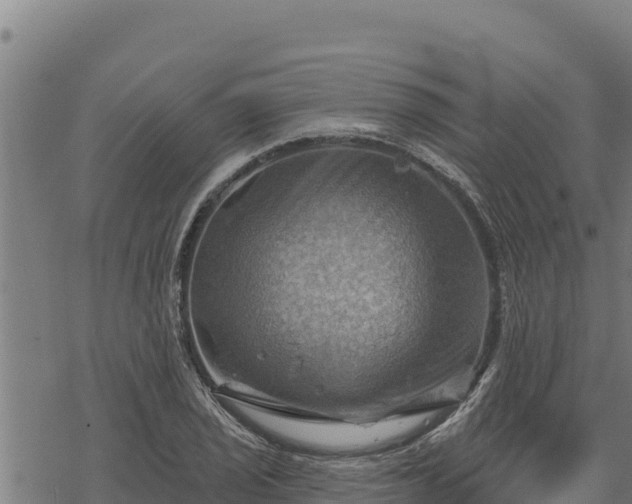 X0000068821029200605121310