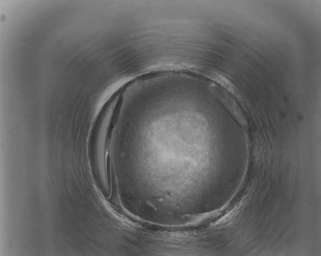 X0000068821030200605121310