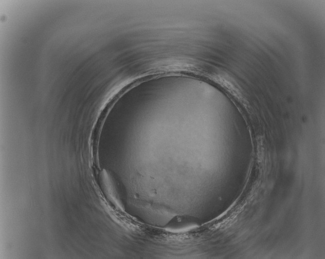 X0000068821031200605121310