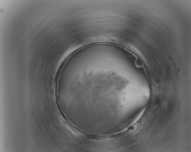 X0000068821035200605121310