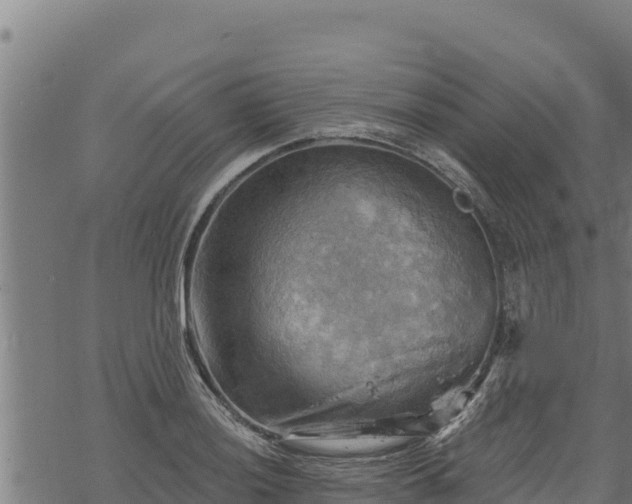 X0000068821036200605121311