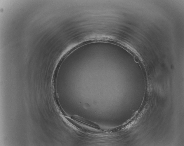 X0000068821037200605121311