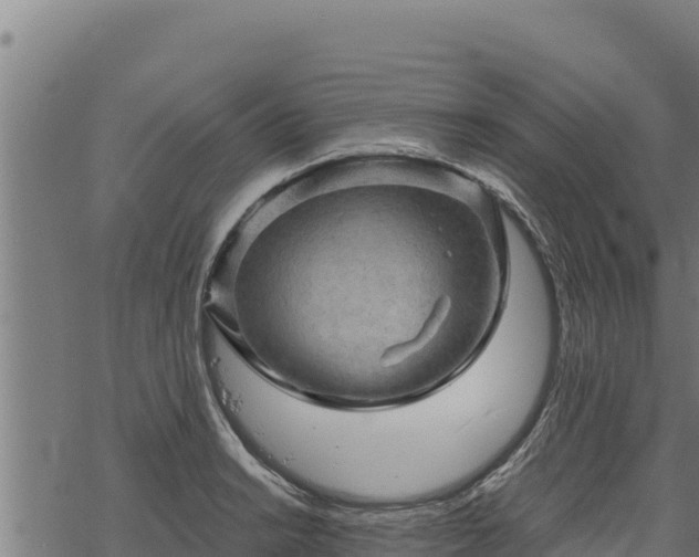 X0000068821038200605121311