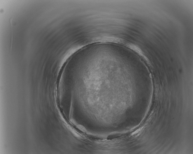 X0000068821040200605121311