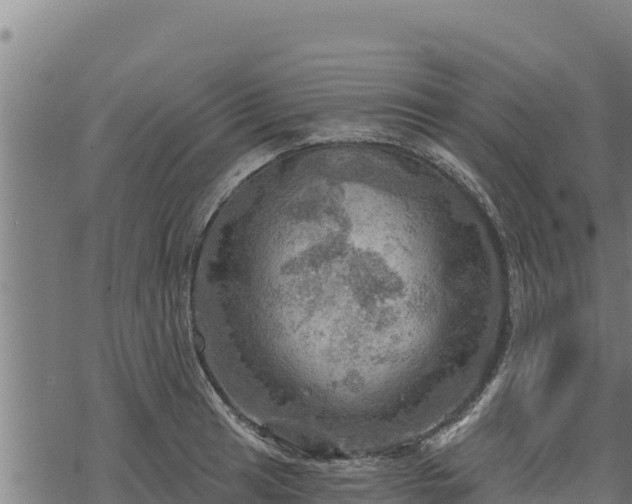 X0000068821041200605121311