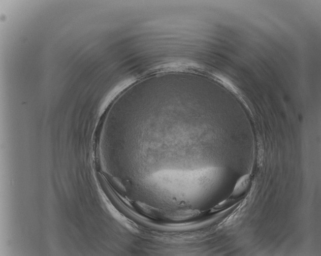 X0000068821042200605121311