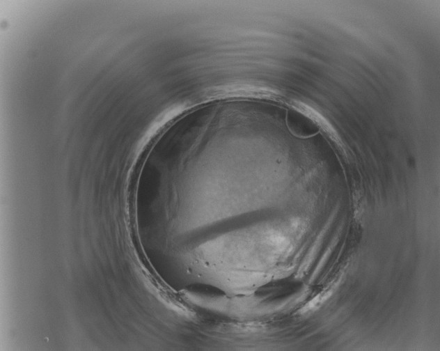 X0000068821043200605121311