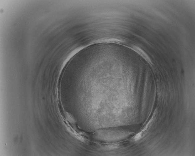 X0000068821044200605121311