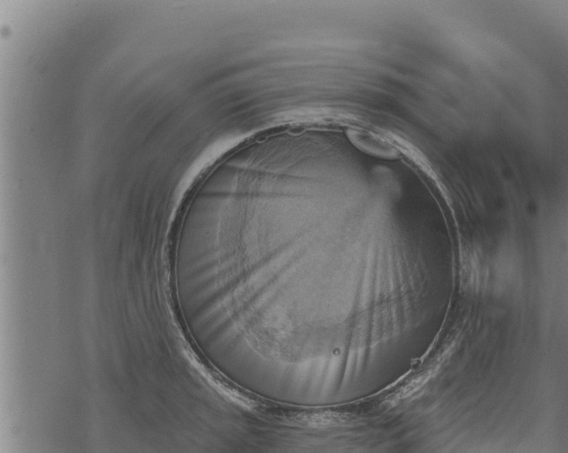 X0000068821045200605121311