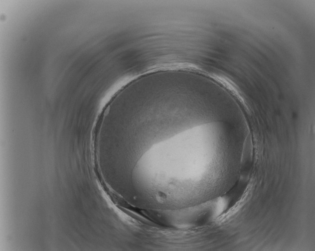 X0000068821046200605121311