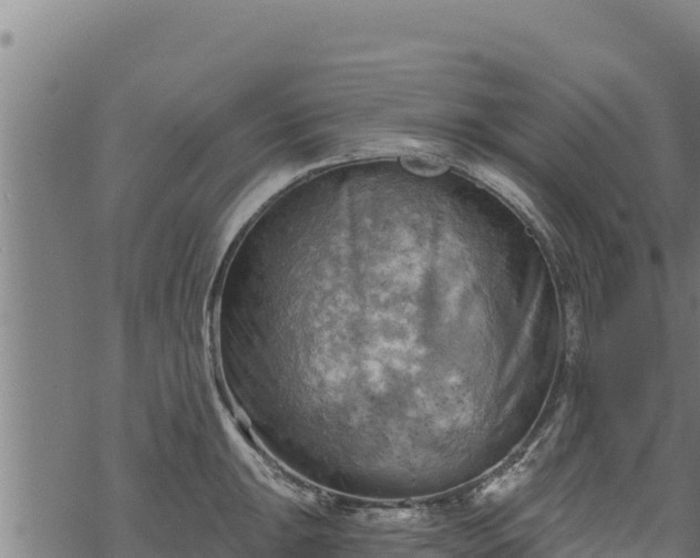 X0000068821047200605121311