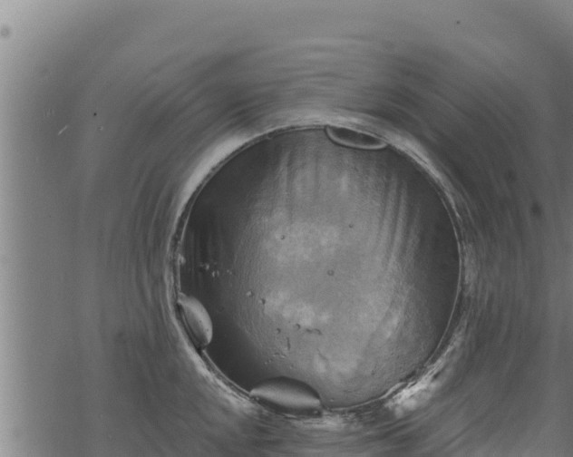 X0000068821048200605121311