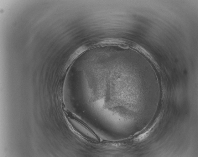 X0000068821049200605121311