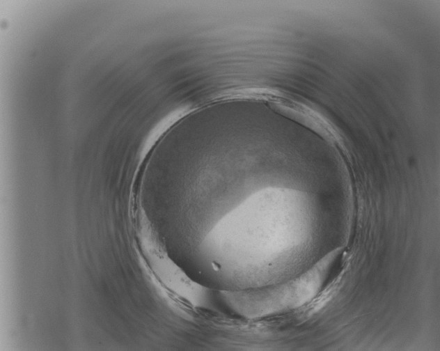 X0000068821050200605121311