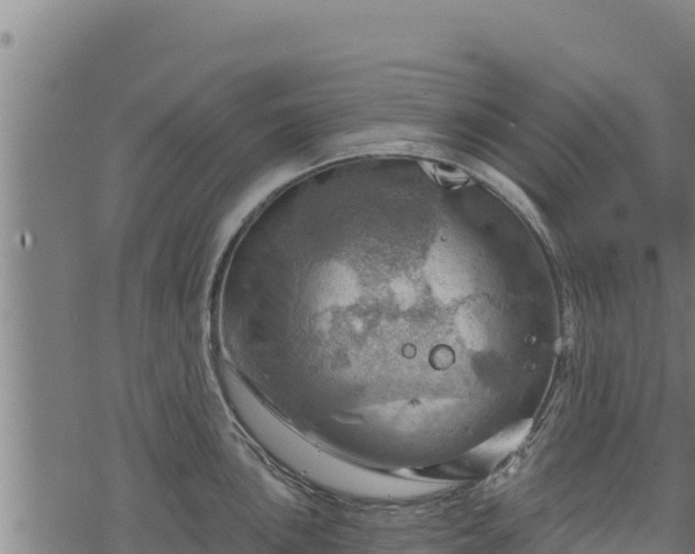 X0000068821051200605121311