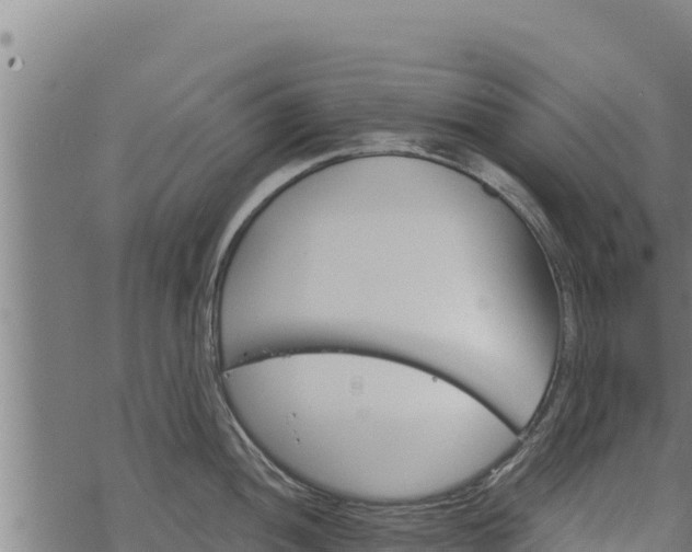 X0000068821052200605121311