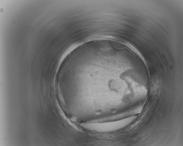 X0000068821053200605121311