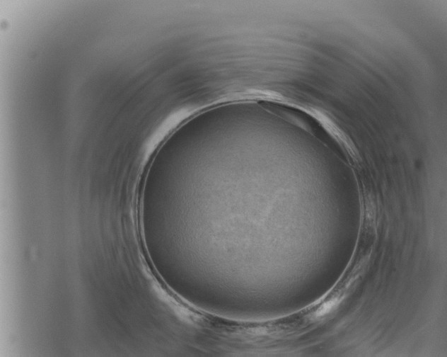 X0000068821054200605121311