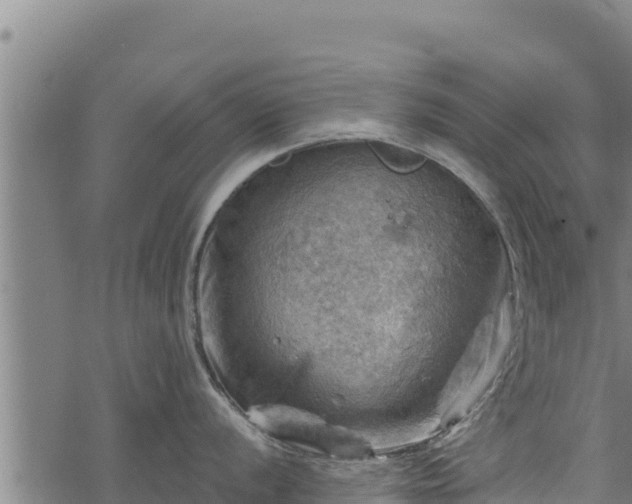 X0000068821056200605121311