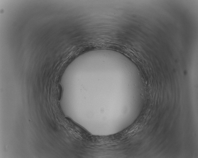 X0000068821057200605121310